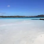 Fiorita *