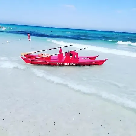 Fiorita