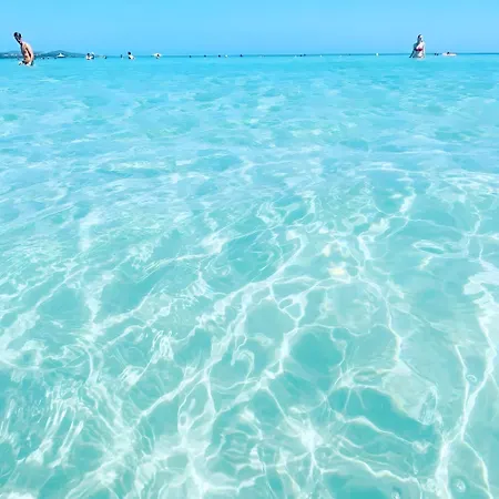 Hébergement de vacances Fiorita *